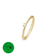 Ring, Løkke, forg sølv