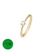 Ring, Løkke, forg sølv