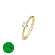 Ring, Løkke, forg sølv