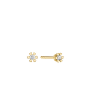 ETERNITY 8KT ØRESTIK 2X0,03CT WSI