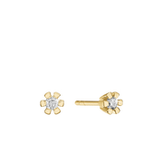 ETERNITY 14KT ØRESTIK 2X0,25CT WSI
