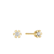 ETERNITY 14KT ØRESTIK 2X0,30CT WSI