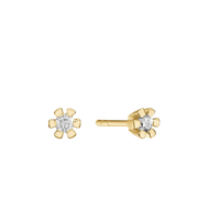 ETERNITY 14KT ØRESTIK 2X0,35CT WSI