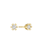 ETERNITY 14KT ØRESTIK 2X0,40CT WSI