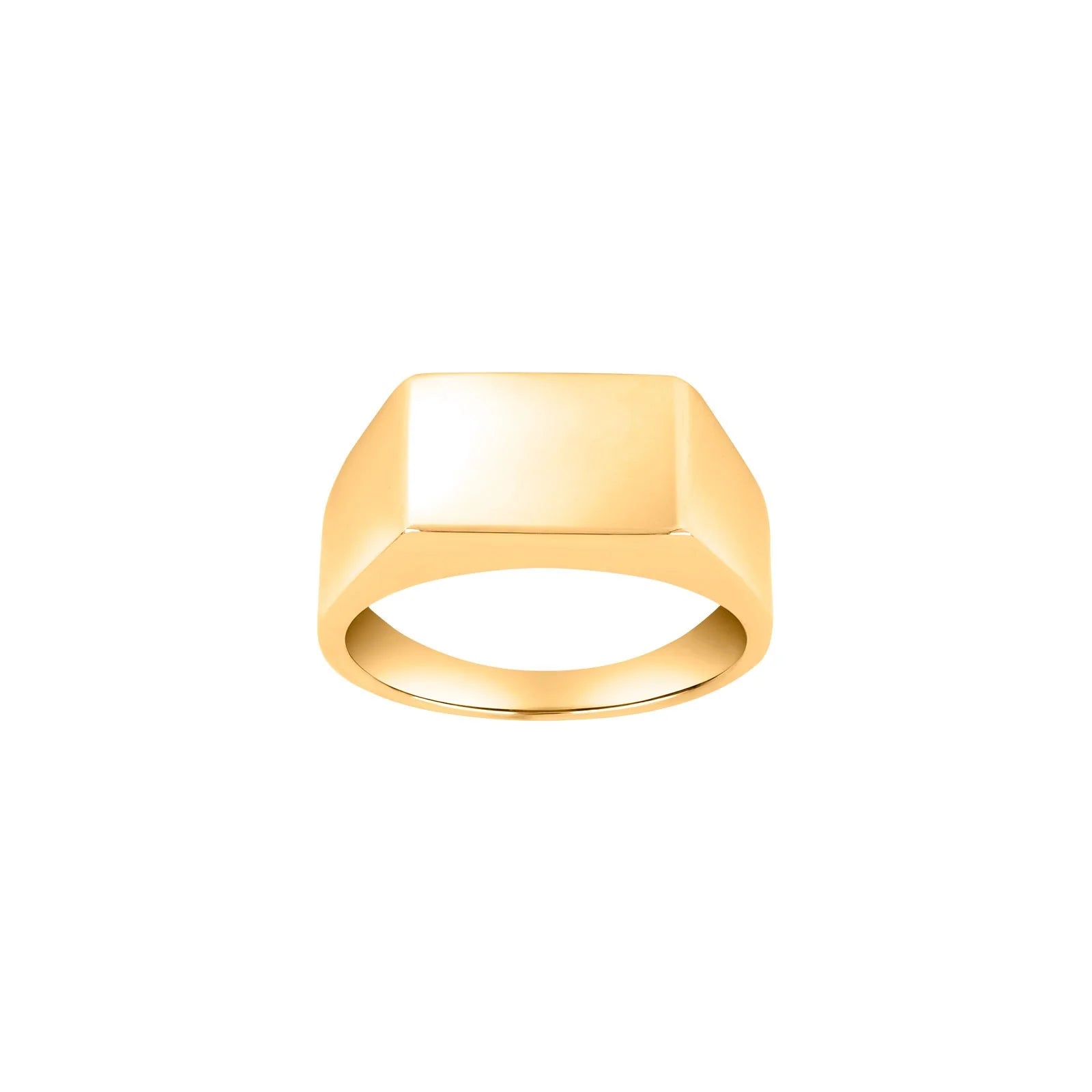 8kt. herre guldring plade