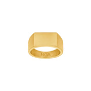 SON stål ring plade