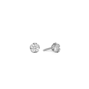SØLV ØRESTIK M/SY.ZIRCONIA 5,5MM