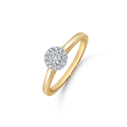 14 kt. Guld ring