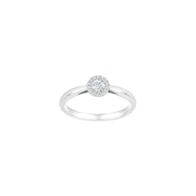14kt. hvidguldsring roset m/dia. 0.20ct W/SI - Urma.dk