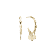 Ørehænger, Happy coins, forg.
