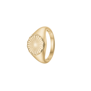 Magic Coin, ring, forg