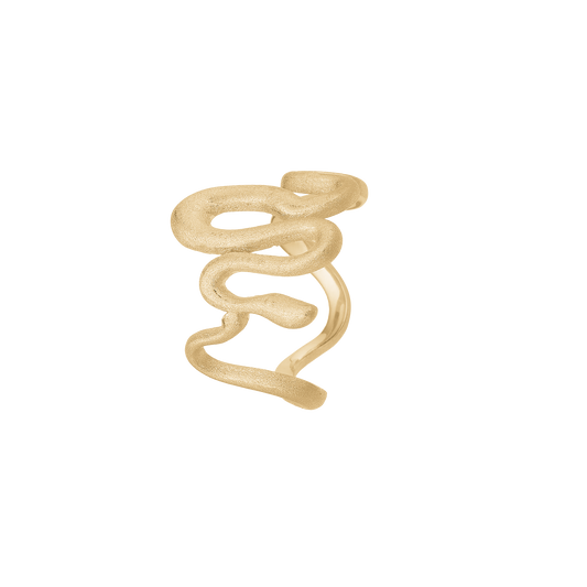 Snake, ring, forg