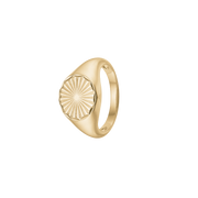 Magic Coin, ring, forg