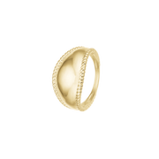 Ring, Løkke, forg sølv