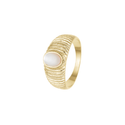Ring, Løkke, forg sølv