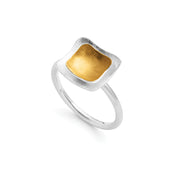 Sterling sølv ring, delvis fg., børstet