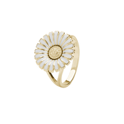 Ring, Løkke, forg sølv