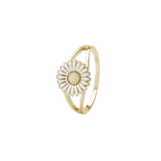 Ring, Løkke, forg sølv