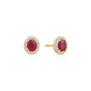 8 kt. Guld ørestikker 60117024