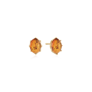 8 kt. Guld ørestikker 60165165