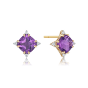 8 kt. Guld ørestikker 60205077