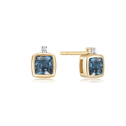 8 kt. Guld ørestikker 60205083