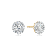 8 kt. Guld ørestikker 60257046