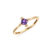 8 kt. Guld ring 62257053