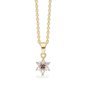 8 kt. guld halskæde rosét med ametyst og 6 syntetiske cubic zirconia. Kæden er sølvforgyldt i længde 42-45 cm.
