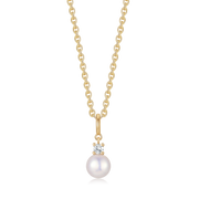 8 kt. Guld halskæde 66257045