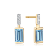 14 kt. Guld ørestikker 70205088
