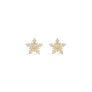 14 kt. Guld ørestikker med cubic zirconia 