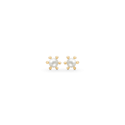 14 kt. Guld ørestikker 
