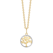 8 kt. Guld halskæde 66117020 - Urma.dk