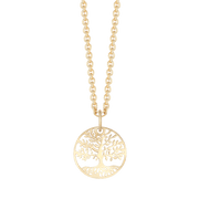 8 kt. Guld halskæde 66117762 - Urma.dk