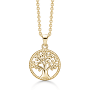 8 kt. Guld halskæde 66223600 - Urma.dk