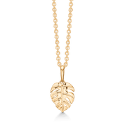 8 kt. Guld halskæde 66242022 - Urma.dk
