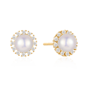 Sølvforgyldt ørestikker F10262553