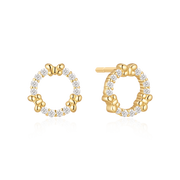 Sølvforgyldt ørestikker F10262663