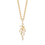 Sølvforgyldt halskæde F16249309