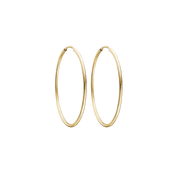 Creoler 8kt. karat Guld - 60166845 - Urma.dk