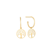 Guld creoler i 14 karat guld 60166850