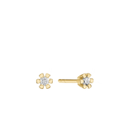 ETERNITY 14KT ØRESTIK 2X0,15CT WSI
