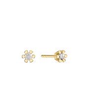 ETERNITY 14KT ØRESTIK 2X0,25CT WSI