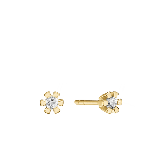 ETERNITY 14KT ØRESTIK 2X0,25CT WSI