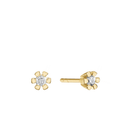 ETERNITY 14KT ØRESTIK 2X0,30CT WSI