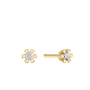 ETERNITY 14KT ØRESTIK 2X0,35CT WSI