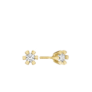 ETERNITY 14KT ØRESTIK 2X0,40CT WSI