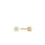 ETERNITY 8KT ØRESTIK 2X0,03CT WSI