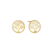 Guld ørestikker